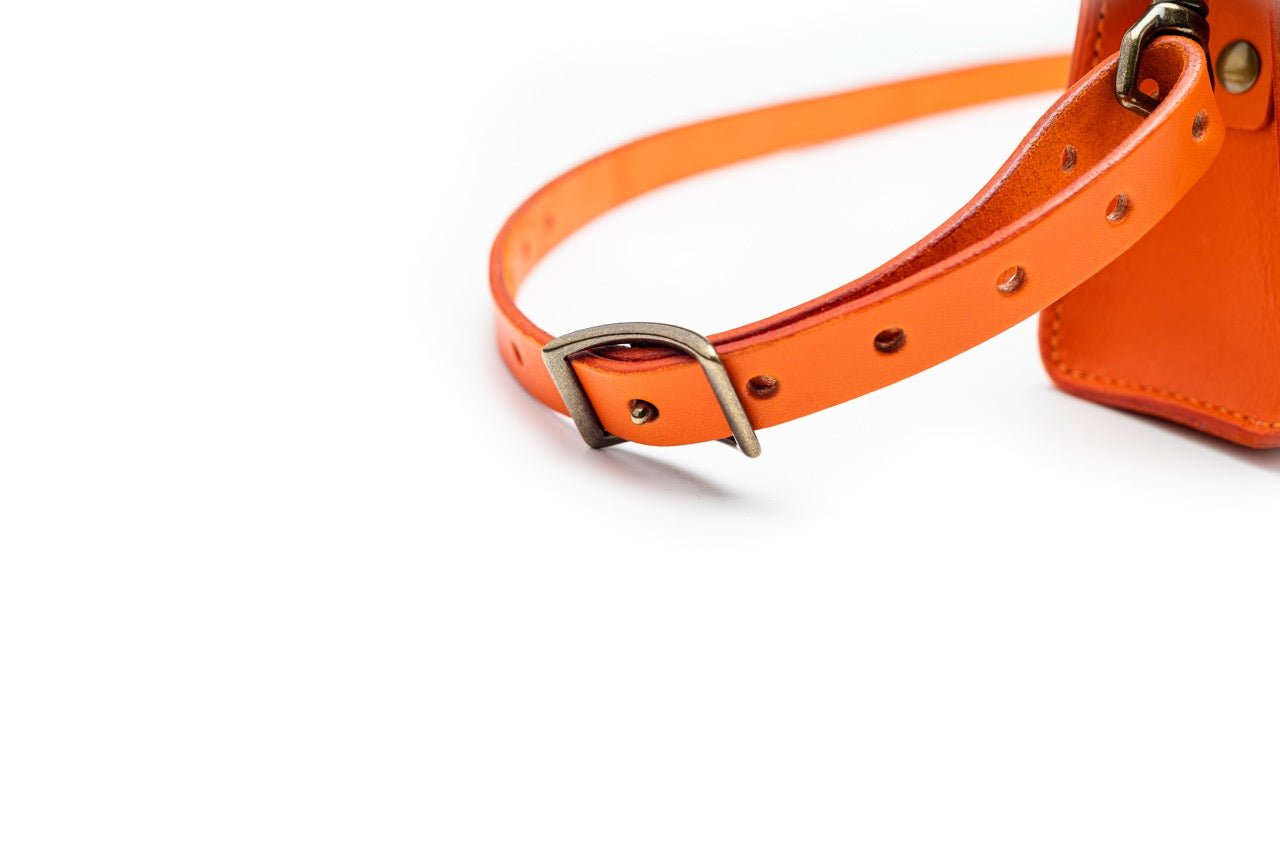 #color_orange